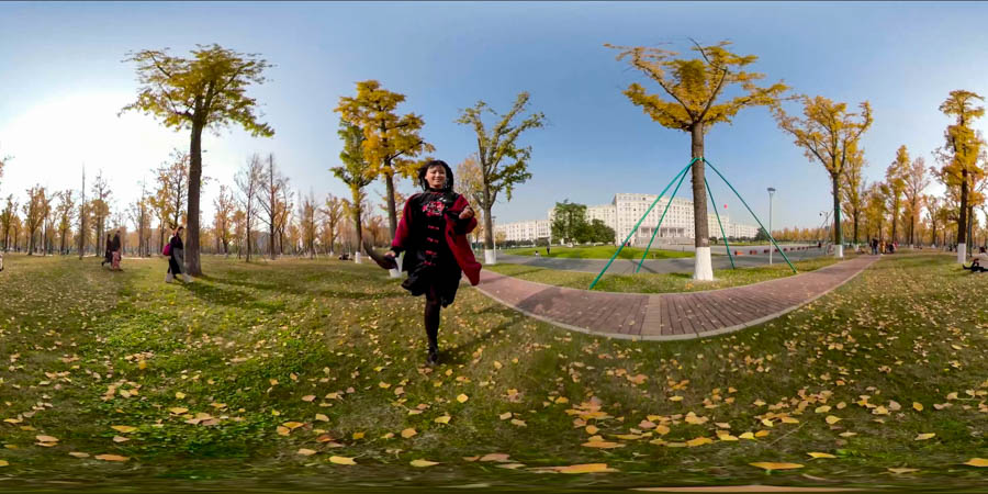 成都(dōu)校(xiào)園的秋天VR視頻